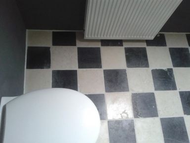 Toilet renovatie Zwolle