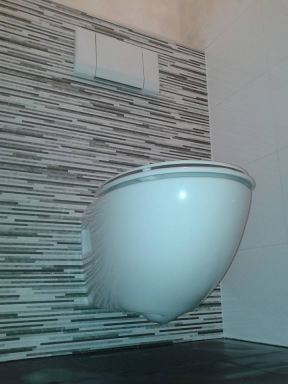 Toilet renovatie Nieuwleusen