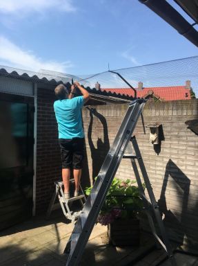 Tuin Catproof maken Valkenswaard