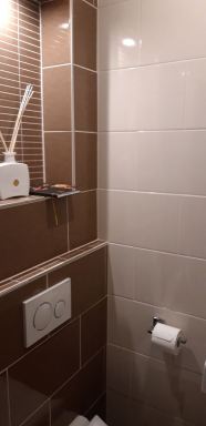 Volledige toilet renovaties