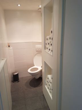 Dronten. Toilet renovatie.