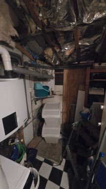 Ooltgensplaat - Renovatie Washok